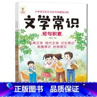 ♥主图款♥小学生必背文学常识(单册) 小学通用 [正版]小学生必背文学常识积累大全注音版同步小学语文基础知识手册1-6年