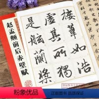 [正版] 赵孟頫前后赤壁赋高清放大对照本 历代经典碑帖第三辑 墨点字帖 毛笔软笔行书碑帖练字帖 附简体旁注 笔法详解