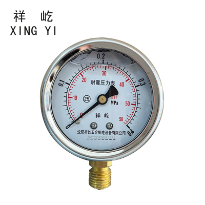 祥屹 耐震压力表 YTN60 块