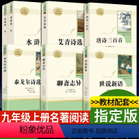 九年级上册名著全7册 [正版]水浒传艾青诗选人民教育出版社原著完整版施耐庵 九年级上册必读名著课外书青少年版初中生9语文