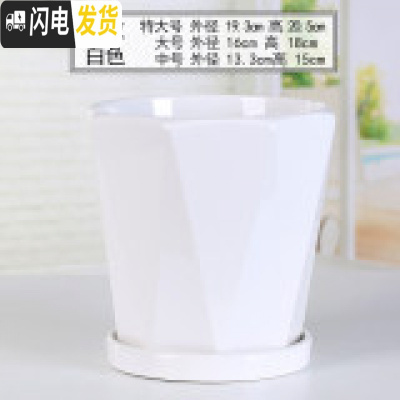 三维工匠花盆陶瓷大号特大创意个性带托盘塑料绿萝吊兰多肉小花盆 70009-18白(分离式托盘) 中等花盆容器