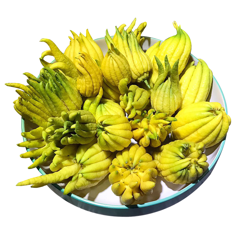 迷你果500g 约7-9个 浙江金华佛手柑新鲜 佛手果清香食用果观赏果供佛