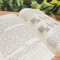 人工智能:原理与实践