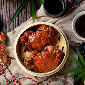 6送2!实物鲜活螃蟹 澄湖之心大闸蟹全母螃蟹2.0-2.5两8只装