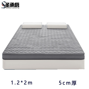 圣承启 高密度床垫 1.2*2m张