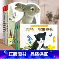 触摸书+推拉书[7册合集] [正版] 手指推拉书机关书好奇的小猫0-3岁儿童绘本宝宝启蒙幼儿早教书亲子互动翻翻书洞洞机关
