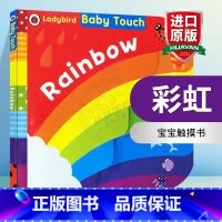 彩虹 [正版]老虎来喝下午茶 英文原版 The Tiger Who Came to Tea 大开绘本 儿童启蒙故事读物