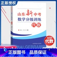 山东新中考数学分级训练:代数 [正版]2024新版山东新中考数学分级训练代数+几何山东中考真题学考结合难度分级知识点重点