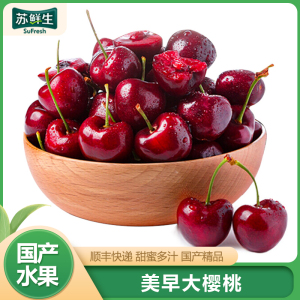 顺丰快递[苏鲜生]大连美早大樱桃 车厘子 J级 净重1.8斤