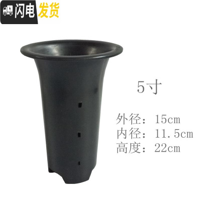 三维工匠兰花盆 塑料 花盆 凹底透气盆大号小号中号带孔高绿兰花盆 5寸9孔(5个) 中等花盆容器