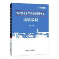 音像煤矿安全生产标准化普通体系宁尚根主编