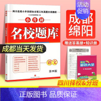 小升初 语文 小学升初中 [正版]成都发2025小升初名校题库语文数学五升六四川名校小升初招生分班三年真题分类题库小升初