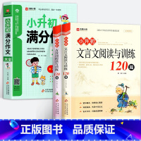 [全3册]小升初满分作文+古诗词+文言文阅读与训练120篇 小学升初中 [正版]小升初满分作文大全小学六年级精选高分获奖