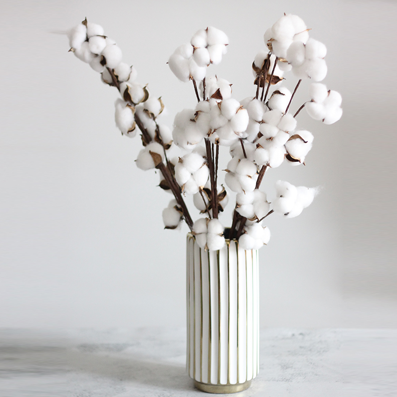 干花花束新疆真棉花大枝北欧装饰ins风客厅插花 fenghou 18头棉花白色