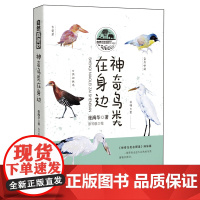 自然真奇妙——神奇鸟类在身边