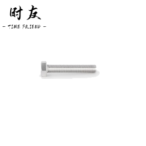 时友 TIME FRIEND 不锈钢螺栓 10*60 个