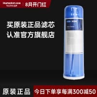汉斯顿/Hunson 净水器净水伴侣后置 口感因子滤芯