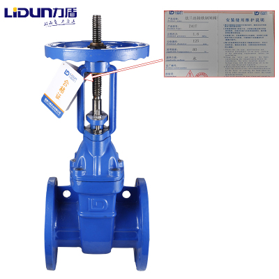 力盾 法兰明杆闸阀 6562 DN125 台