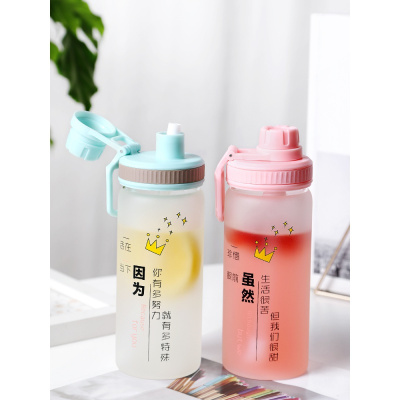 美帮汇茶杯带吸管式的玻璃杯女大人少女韩版孕妇产妇专用便携水杯子