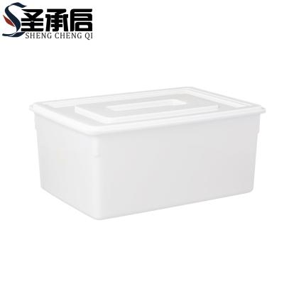 圣承启 储物盒 10L个
