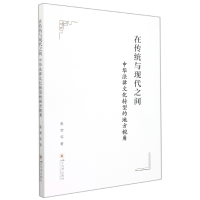 音像在传统与现代之间:中华法律文化转型的地方视角里赞 等
