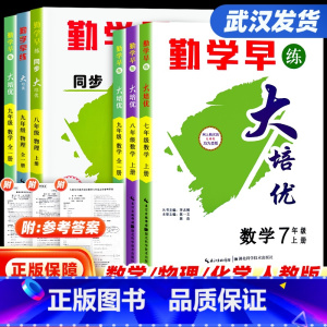 2023版[大培优]物理 八年级下 [正版]武汉发货2024新版勤学早同步大培优名校压轴题好好卷课时导练 初中考语文数学