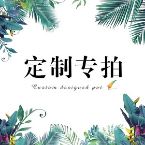 卫未来 定制专拍1