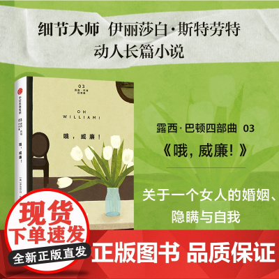 哦 威廉 我叫露西巴顿 口袋本 我想没那么遭 细节大师 关于婚姻隐瞒与自我
