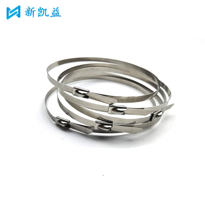 新凯益 304不锈钢自锁扎带 4.6*300mm 根