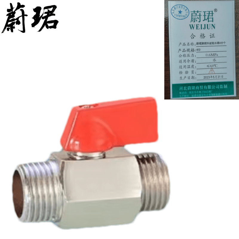 蔚珺牌铜外丝验水阀4分个