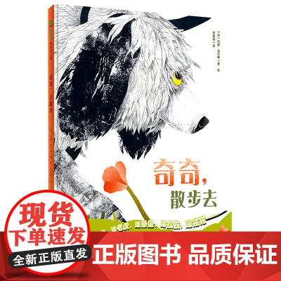 奇奇散步去 魔法象图画书王国 法玛丽米尔根著儿童绘本幼儿绘本阅读精装绘本少儿读物绘本故事睡前故事3-10 岁广西师范大学