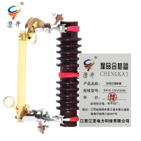 澄开 跌落式熔断器 RW10-12KV/200A/只