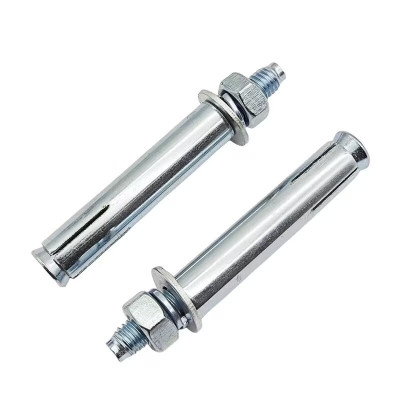 浪伍 膨胀螺丝4.8级 8*100mm /个