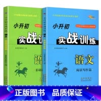 [正版]小升初实战训练语文阅读写作篇+基础训练篇共2本68所名校图书小升初重点学校语文命题大预测小学毕业升初中语文总复习