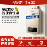A.O.史密斯精钢燃气热水器TM5精控恒温不锈钢换热器包8年负压燃烧更安全 16L [仅外包装箱瑕疵]