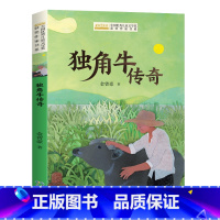独角牛传奇 [正版]全国儿童文学奖获奖作家书系——独角牛传奇