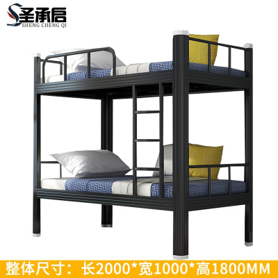 圣承启 宿舍床 1.0m张