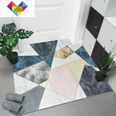 北欧入户丝圈地垫地毯垫进脚垫口垫子家用厅踩脚垫塑料御蓝锦