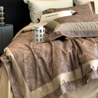 高级轻奢云感暖绒金棉磨毛四件套秋冬季长绒棉全棉床上用品