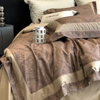 高级轻奢云感暖绒金棉磨毛四件套秋冬季长绒棉全棉床上用品