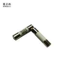 馨启路 陶瓷熔芯保险管 R054 5*20/1A 个