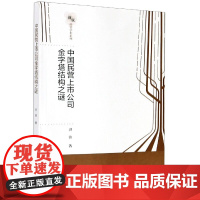 中国民营上市公司金字塔结构之谜/新锐经管学术系列