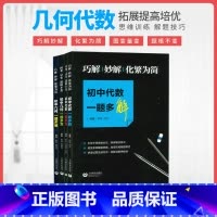 [4本]初中代数+初中几何 初中通用 [正版]初中代数几何一题多变多解图变量变题根不变巧解妙解化繁为简中考总复习挑战压轴