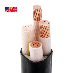 常顺鑫 低压铜芯电缆ZC-YJV3×120+1×70 米