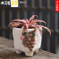 三维工匠可画画上色彩多肉小花盆陶瓷粗陶透气创意肉肉植物盆 藕色图片款[1个装] 中等花盆容器