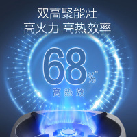 万和4.8KW燃气灶液化气双眼灶具台嵌两用煤气灶G6-L50-20Y