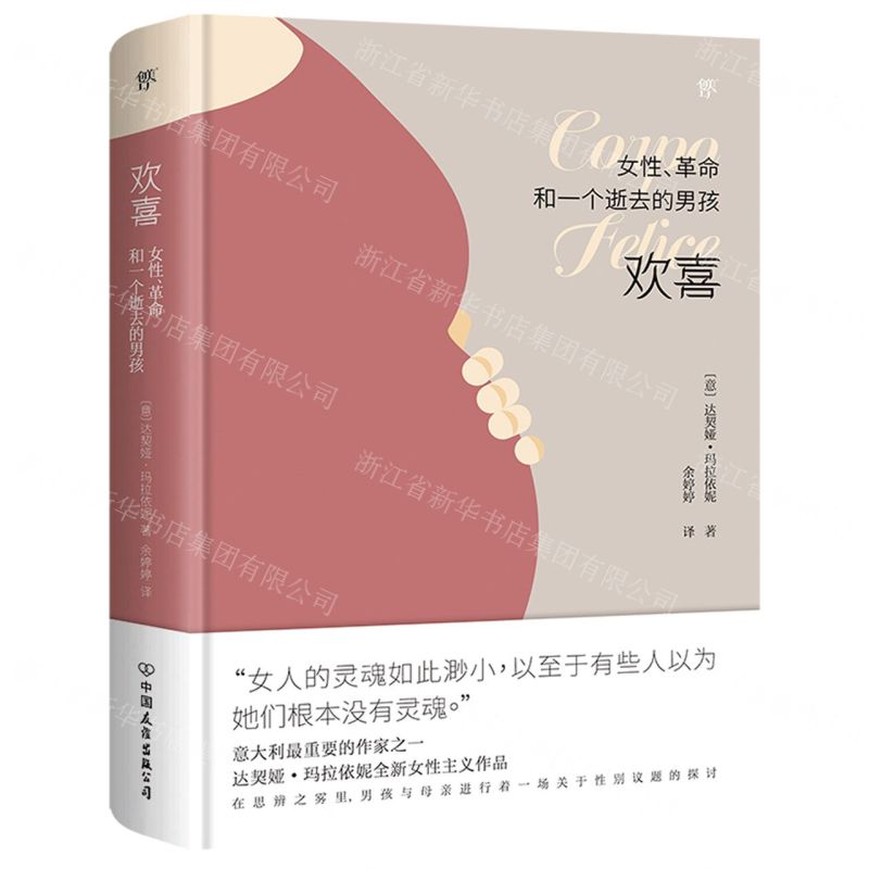 [N]欢喜(女性革命和一个逝去的男孩)(精)-9787505752702