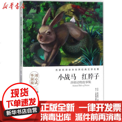 新华书店-正版小站马红脖子：西顿动物故事集欧内斯特·汤普森·西顿天地出版社9787545533231书籍