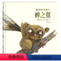 [正版]熊猫绘本馆爸爸的爱很大系列之蝉之翼宝宝睡前故事书0-3-6岁图画书小学生幼儿园小班大班儿童漫画早教亲子阅读绘本