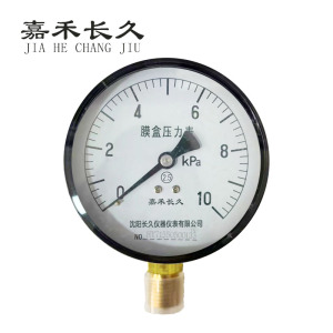 嘉禾长久+膜盒压力表检测定制型+YE60+块